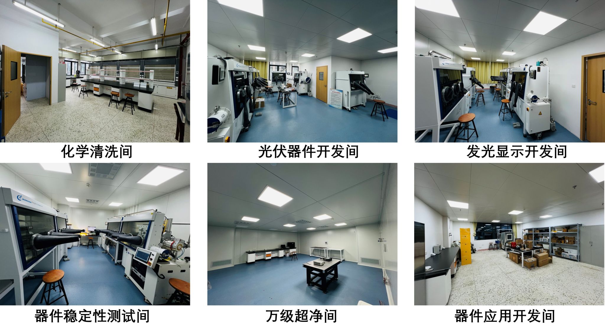 威廉希尔WilliamHill官方网站